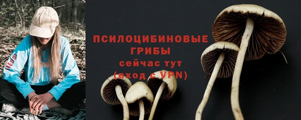 2c-b Алексеевка