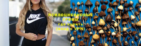 гашик Алзамай