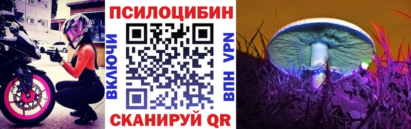 сколько стоит  Артёмовск  Псилоцибиновые грибы MAGIC MUSHROOMS 